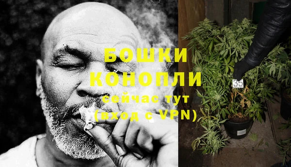 каннабис Покачи