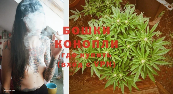 каннабис Покачи